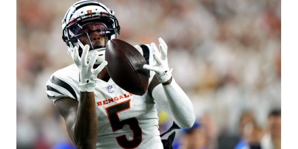 Cincinnati Bengals valde inte att förnya kontraktet med wide receiver Tee Higgins Cincinnati Bengals valde inte att förnya kontraktet med wide receiver Tee Higgins
